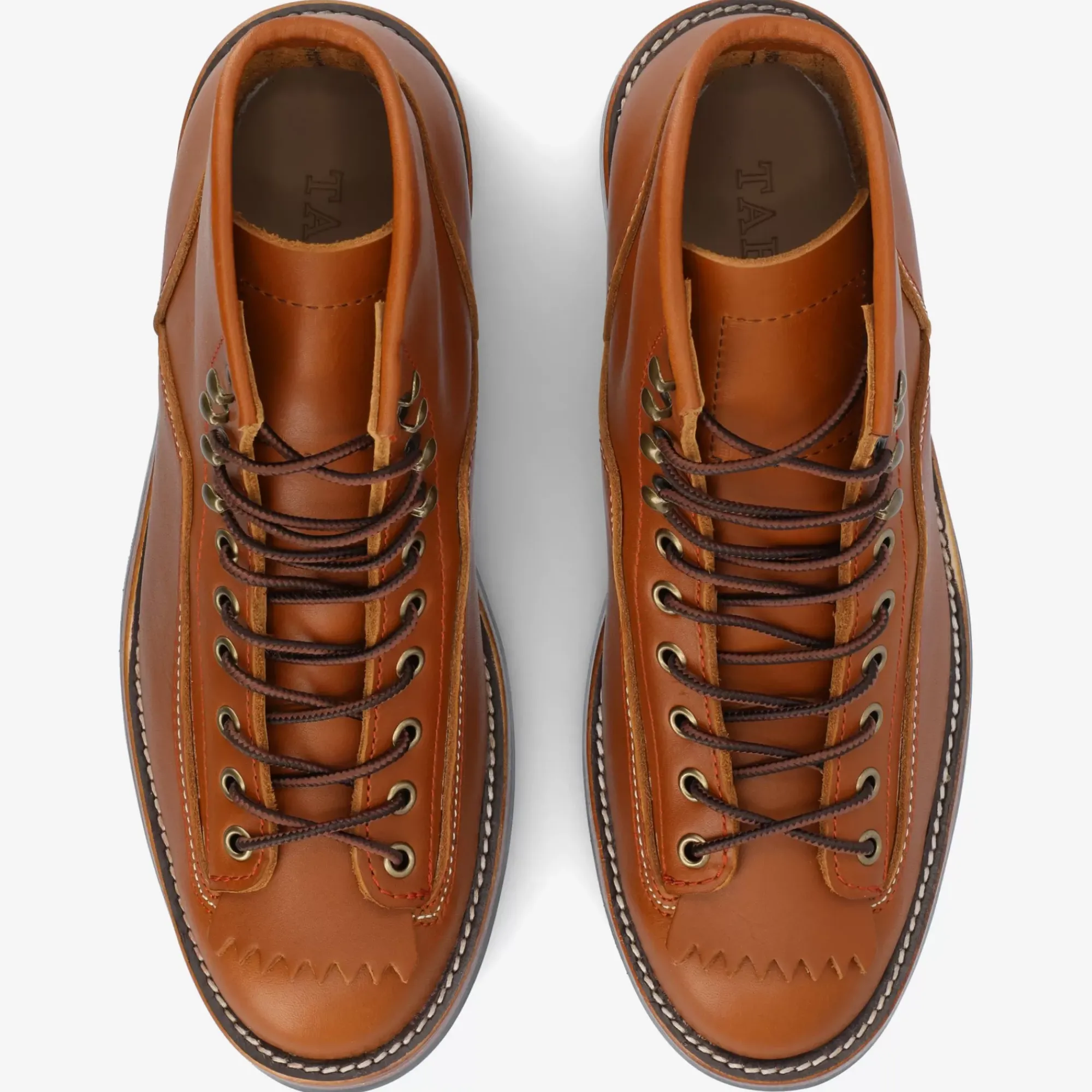New TAFT Model 007 Boot In Honey